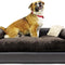 Premium Leatherette Pets Sofa, Regular, Brown, Large