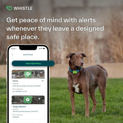 Go Explore/The Ultimate Health + GPS Location Tracker for Pets/Green (100-04202-00)