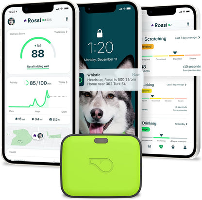 Go Explore/The Ultimate Health + GPS Location Tracker for Pets/Green (100-04202-00)